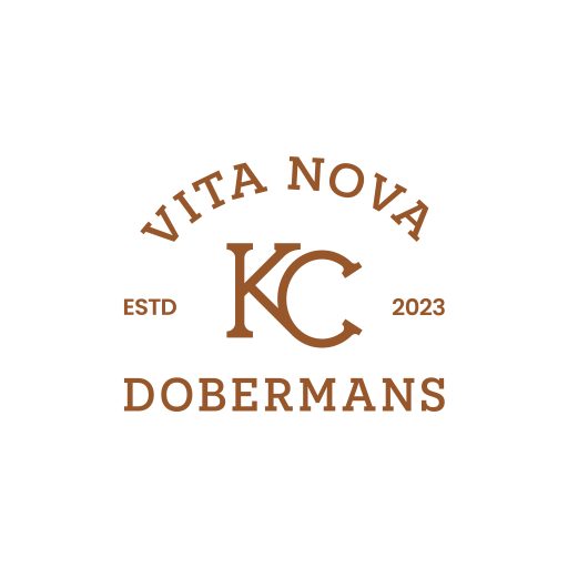 Low COI, Breed-Preserved Dobermans